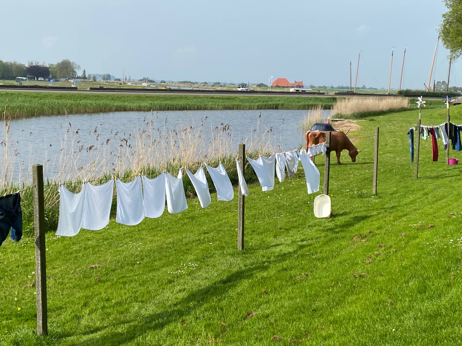 11-Stedentocht Friesland - 12