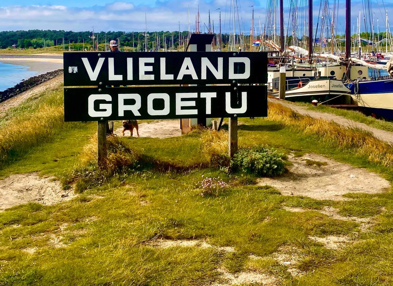 Into The Great Wide Open - 2