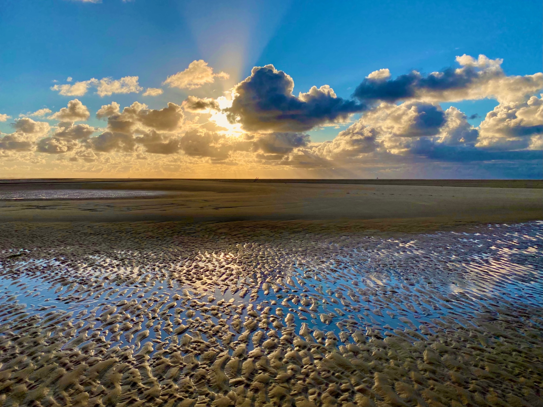 Waddenweken - 1